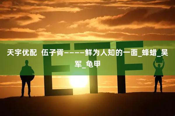 天宇优配  伍子胥————鲜为人知的一面_蜂蜡_吴军_龟甲