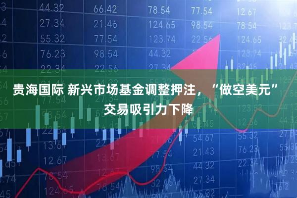 贵海国际 新兴市场基金调整押注，“做空美元” 交易吸引力下降