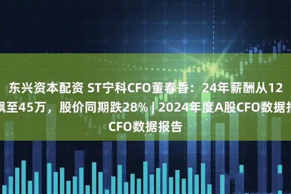东兴资本配资 ST宁科CFO董春香：24年薪酬从12万飙至45万，股价同期跌28% | 2024年度A股CFO数据报告