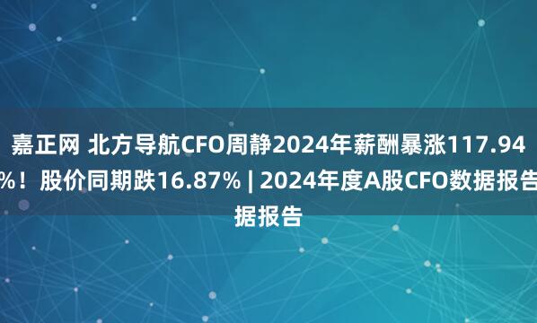 嘉正网 北方导航CFO周静2024年薪酬暴涨117.94%！股价同期跌16.87% | 2024年度A股CFO数据报告