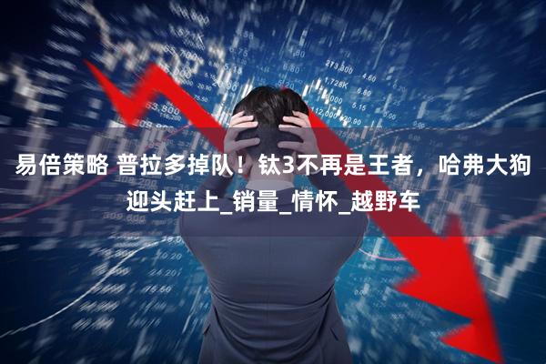 易倍策略 普拉多掉队！钛3不再是王者，哈弗大狗迎头赶上_销量_情怀_越野车