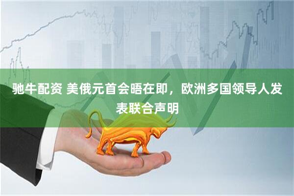 驰牛配资 美俄元首会晤在即，欧洲多国领导人发表联合声明