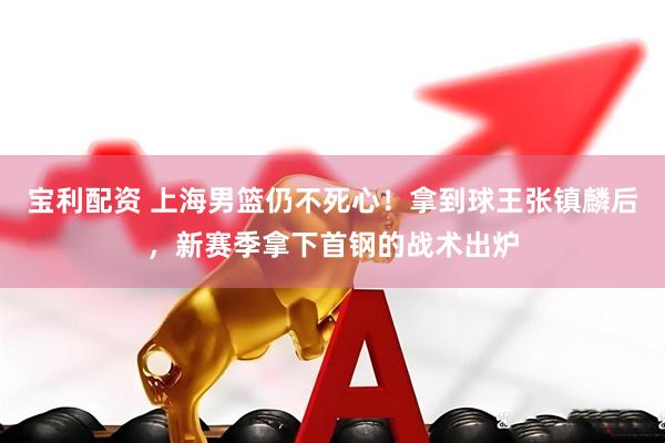 宝利配资 上海男篮仍不死心！拿到球王张镇麟后，新赛季拿下首钢的战术出炉