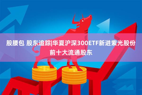 股腰包 股东追踪|华夏沪深300ETF新进紫光股份前十大流通股东