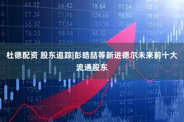 杜德配资 股东追踪|彭皓喆等新进德尔未来前十大流通股东