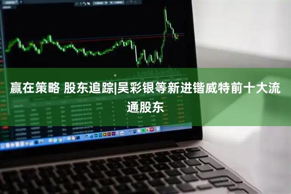 赢在策略 股东追踪|吴彩银等新进锴威特前十大流通股东