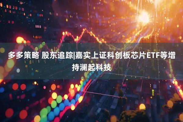 多多策略 股东追踪|嘉实上证科创板芯片ETF等增持澜起科技