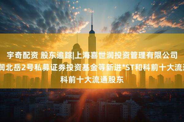 宇奇配资 股东追踪|上海喜世润投资管理有限公司-喜世润北岳2号私募证券投资基金等新进*ST和科前十大流通股东