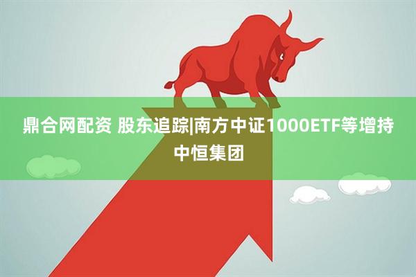 鼎合网配资 股东追踪|南方中证1000ETF等增持中恒集团