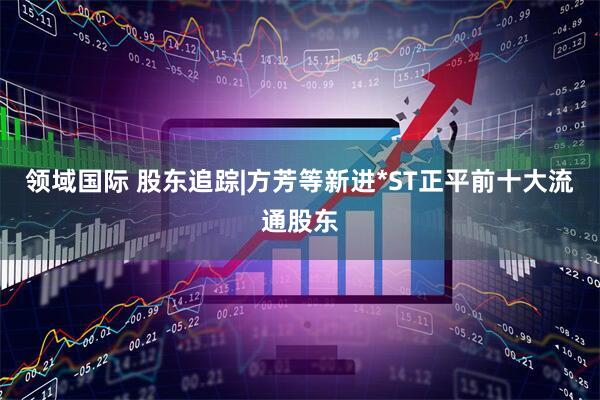 领域国际 股东追踪|方芳等新进*ST正平前十大流通股东