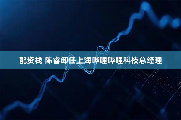 配资栈 陈睿卸任上海哔哩哔哩科技总经理