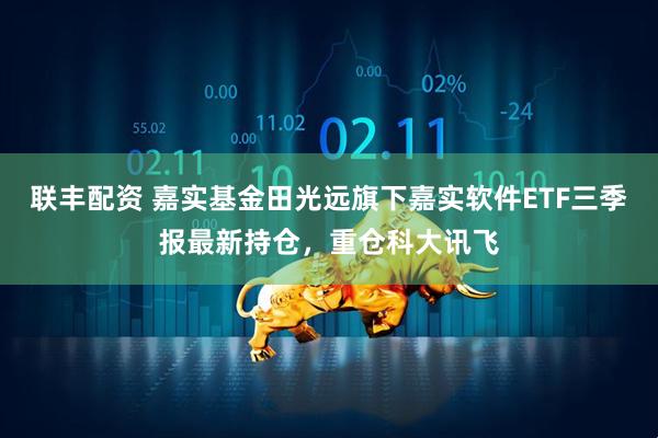 联丰配资 嘉实基金田光远旗下嘉实软件ETF三季报最新持仓，重仓科大讯飞